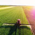 Round One Goes to Roundup: Court Temporarily Enjoins Proposition 65 Warnings for Glyphosate and Glyphosate Residues in Foods