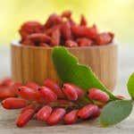 A Berry Mixed Decision:  Consumer Class Action Challenging Packaging of “Himalania” Goji Berries Largely Survives Motion to Dismiss